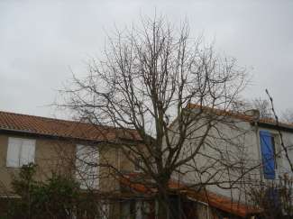 dsc06338.jpg